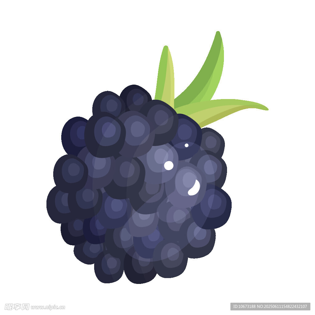 可愛卡通黑莓插畫