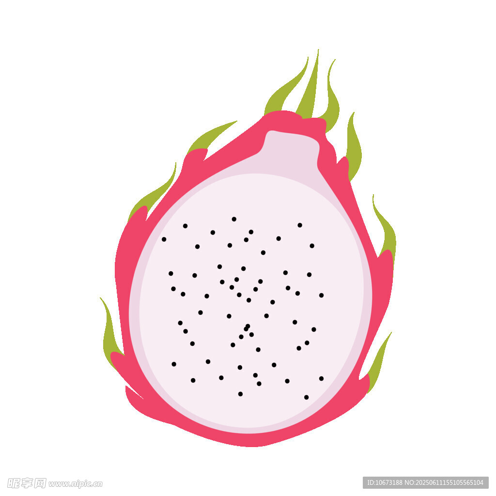 切開的火龍果插畫