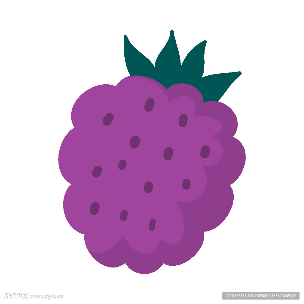 紫色卡通樹莓插畫