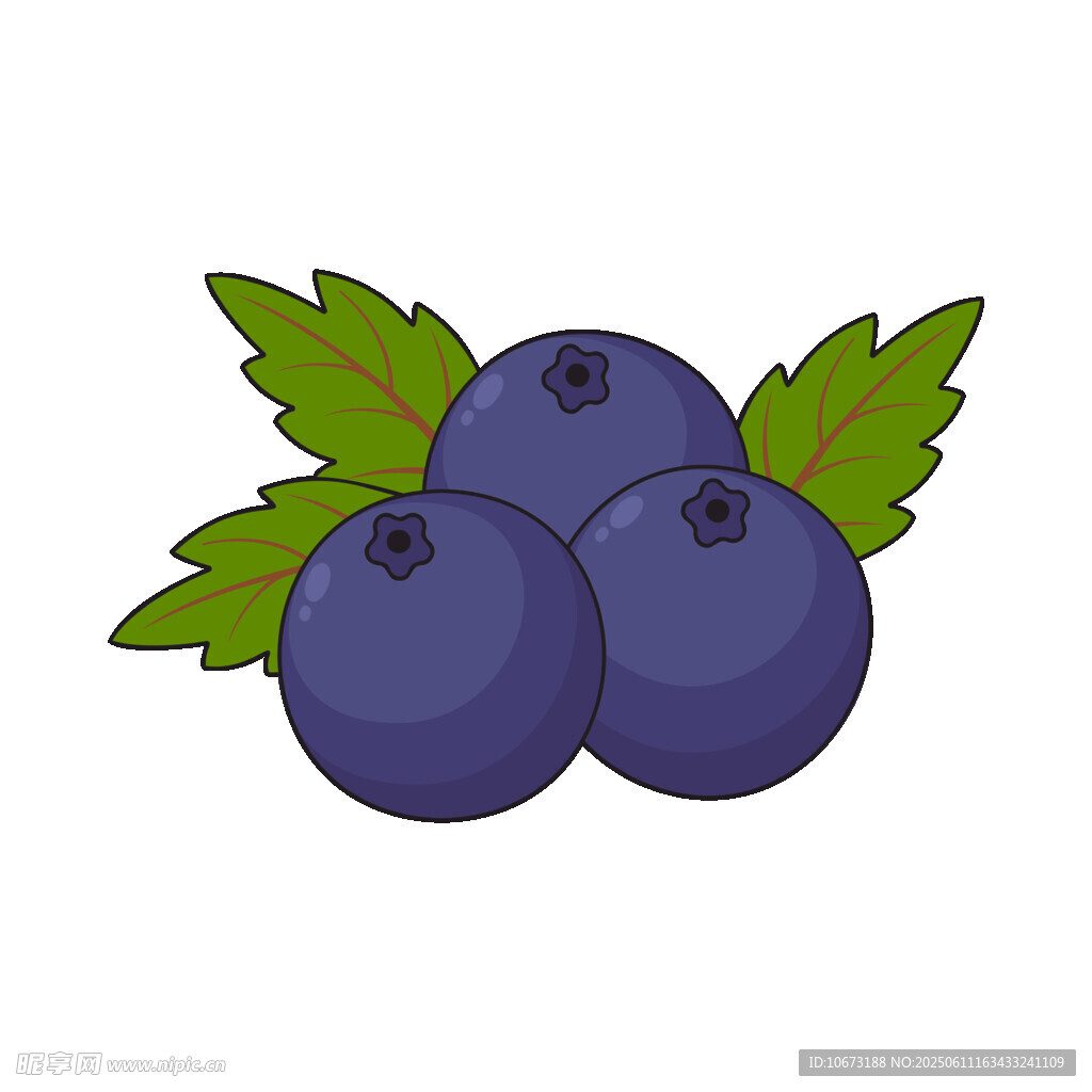 三顆藍莓插畫