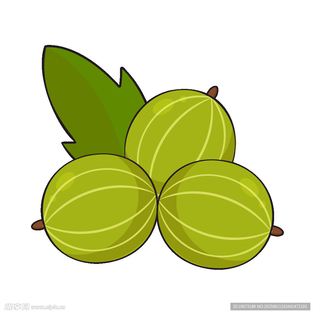三顆翠綠醋栗插畫