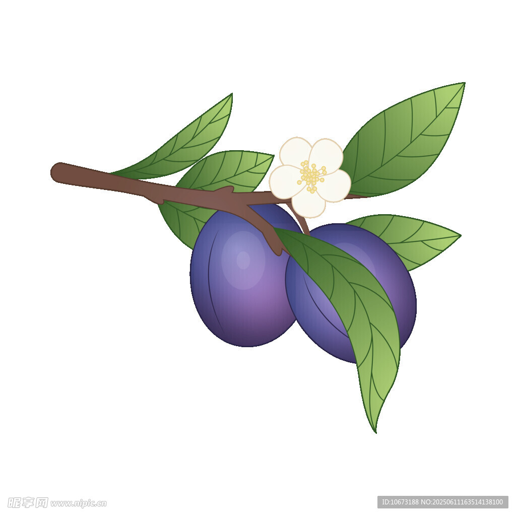 枝頭紫李伴白花