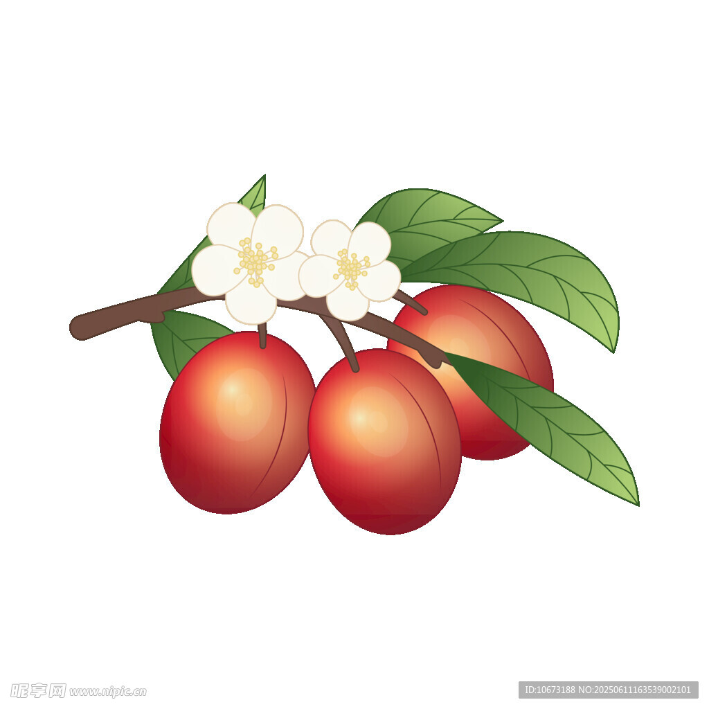 枝頭紅杏伴白花