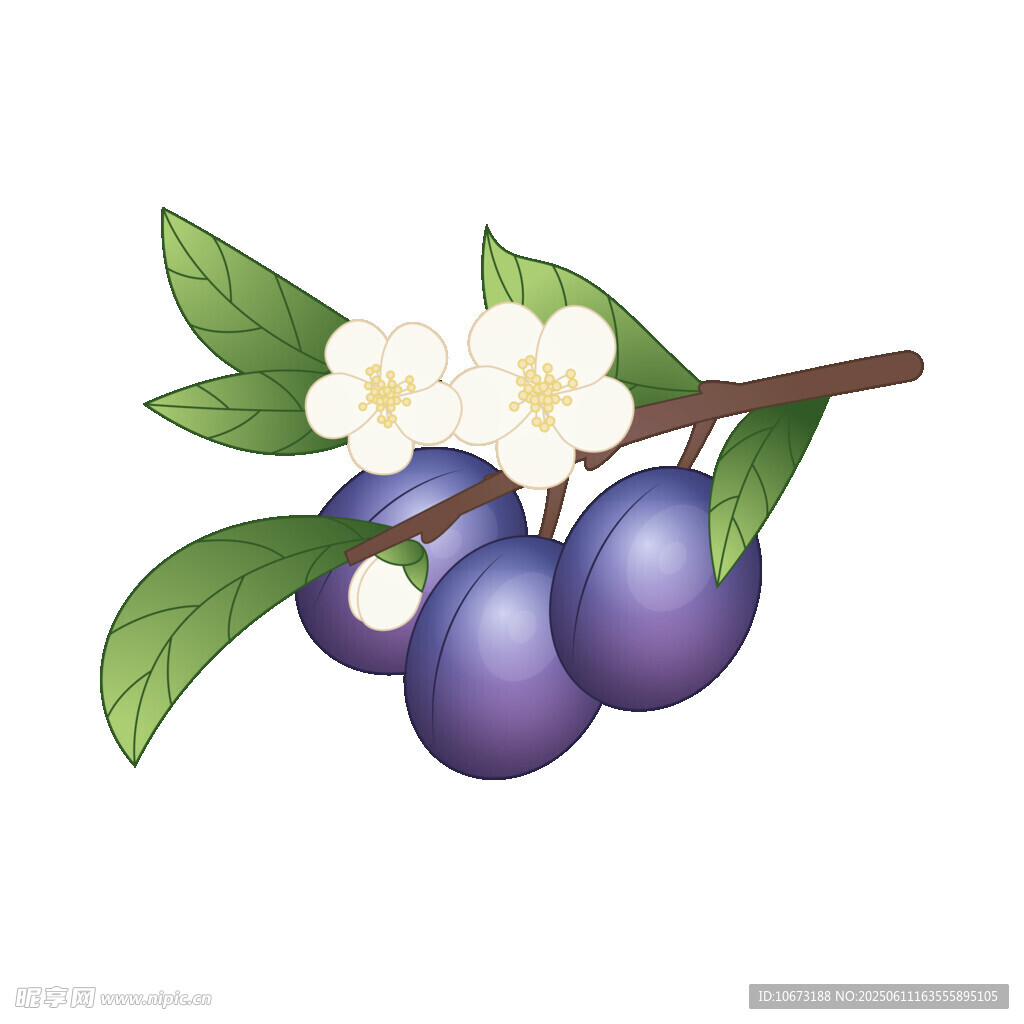 枝頭紫李伴白花
