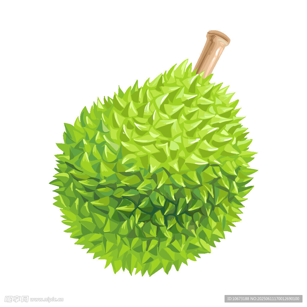 綠色榴蓮插畫