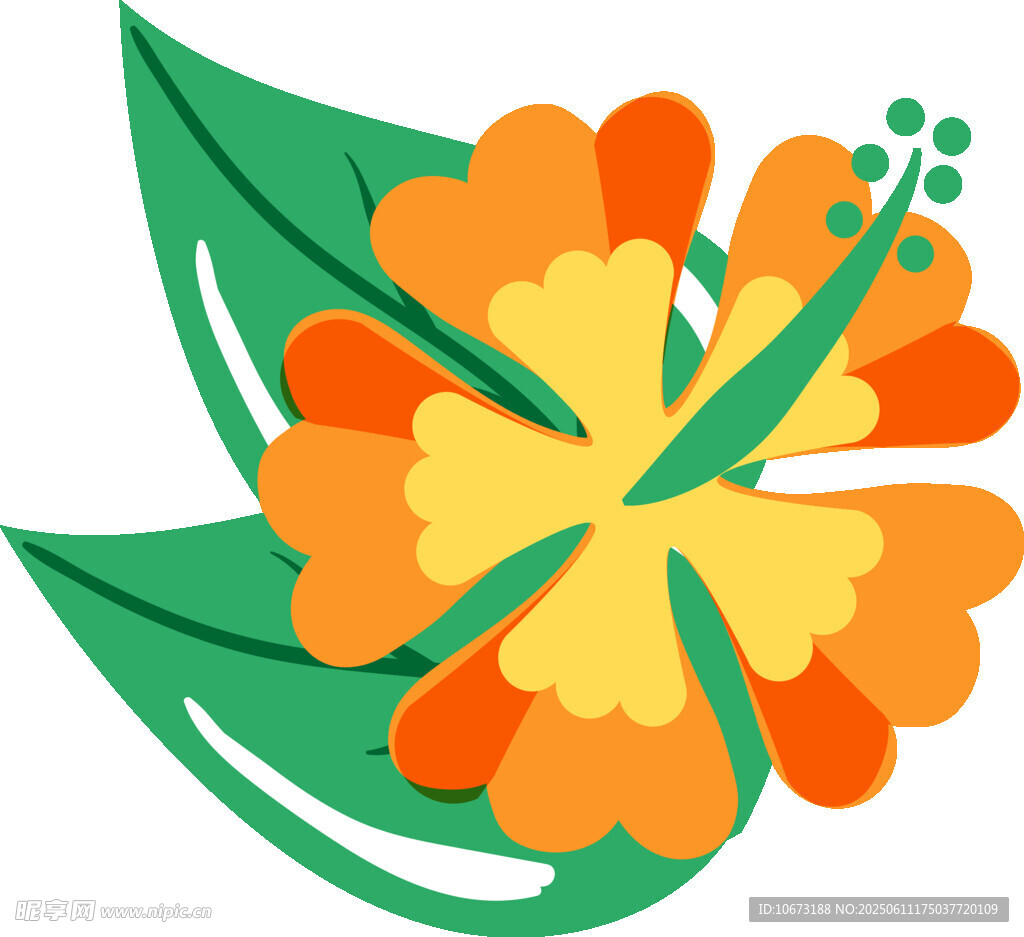 橙色花朵與綠葉插畫