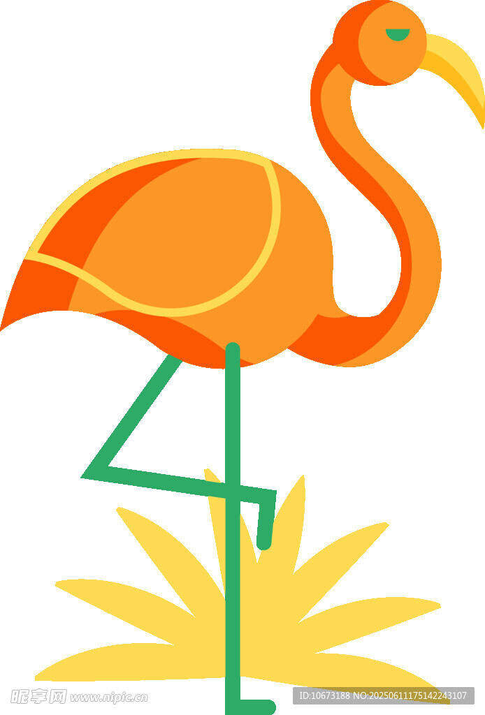 站立的火烈鳥插畫