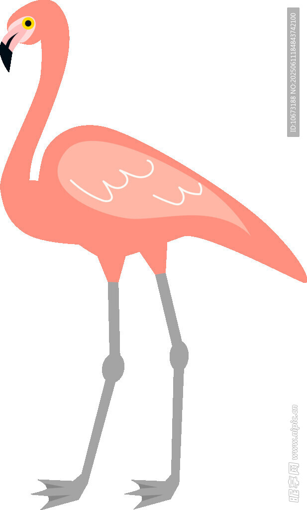 粉色火烈鳥插畫