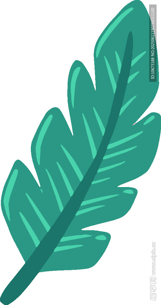 綠色羽狀葉片插畫