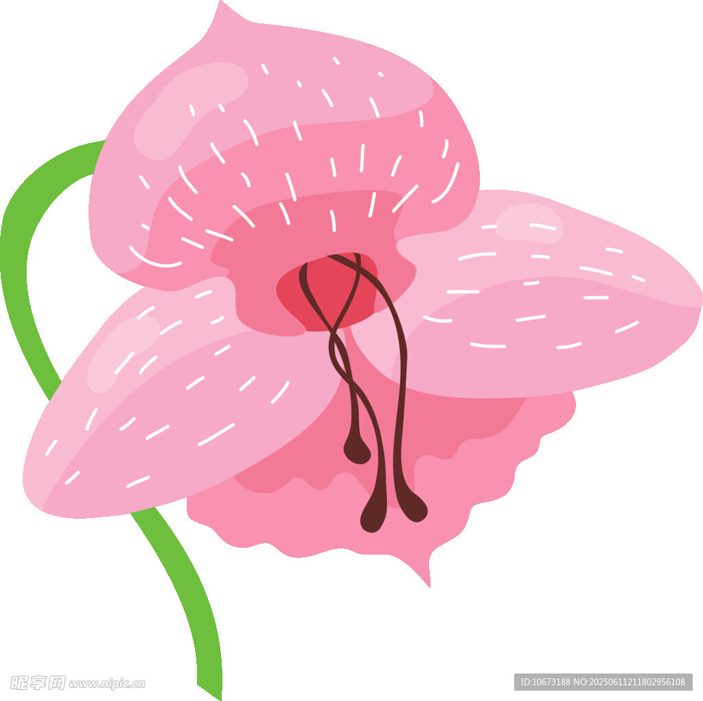 粉色花朵插畫