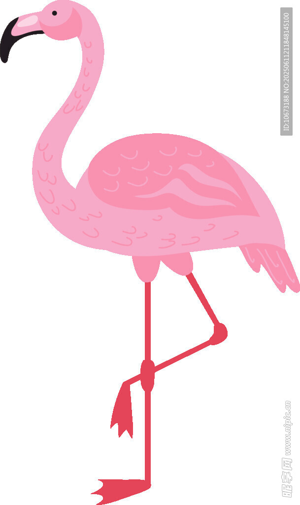站立的粉色火烈鳥