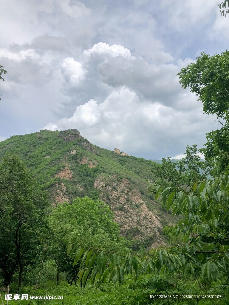 青山綠樹間的秀麗山景