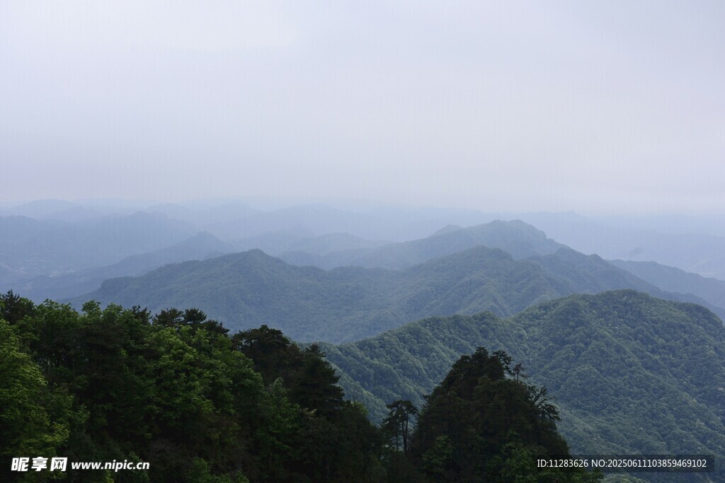 山巒云霧間的綠意景致