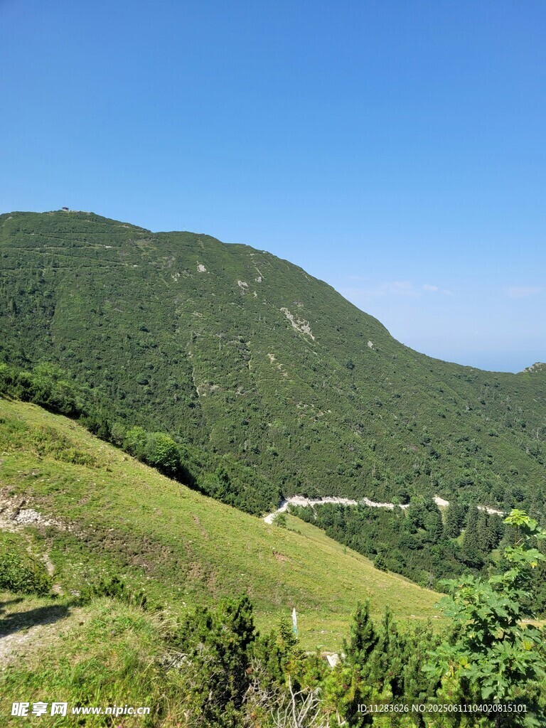 青山綠野間的山間美景