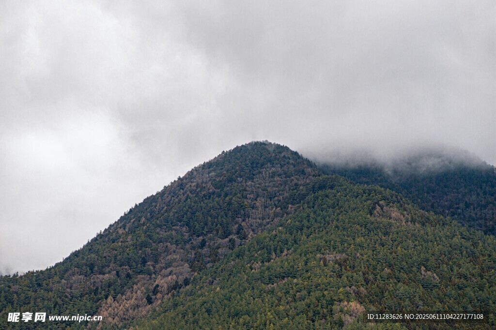 云霧繚繞的翠綠山峰