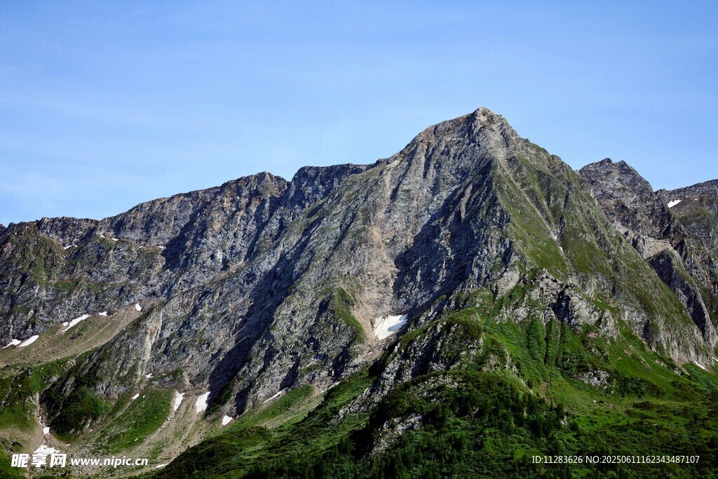 巍峨青山綠意濃