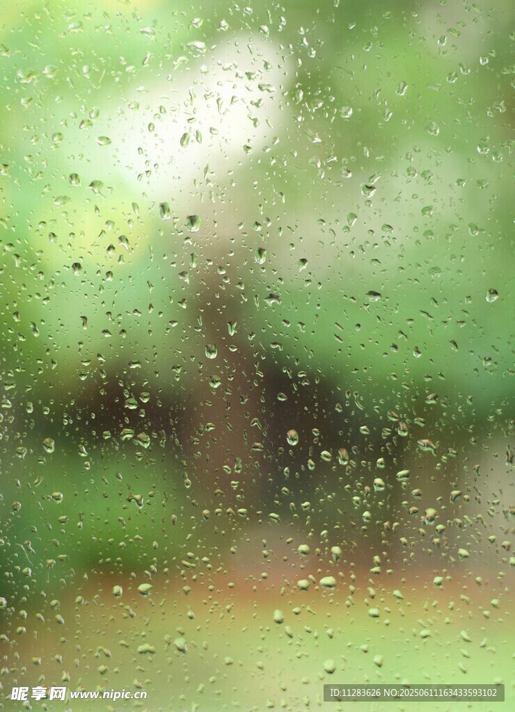 雨幕中的窗外綠意