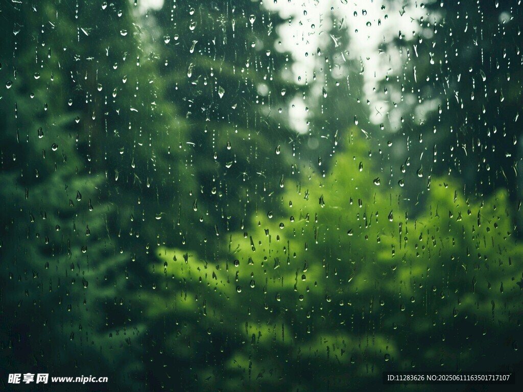 雨中窗外的樹木