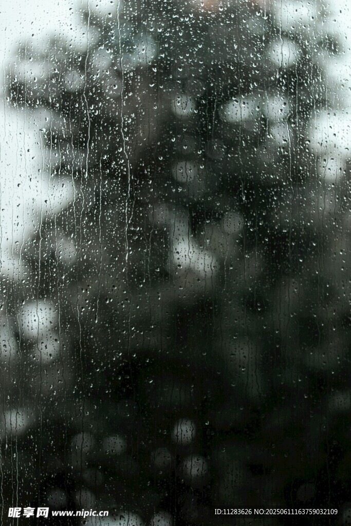 雨中模糊的樹木景象