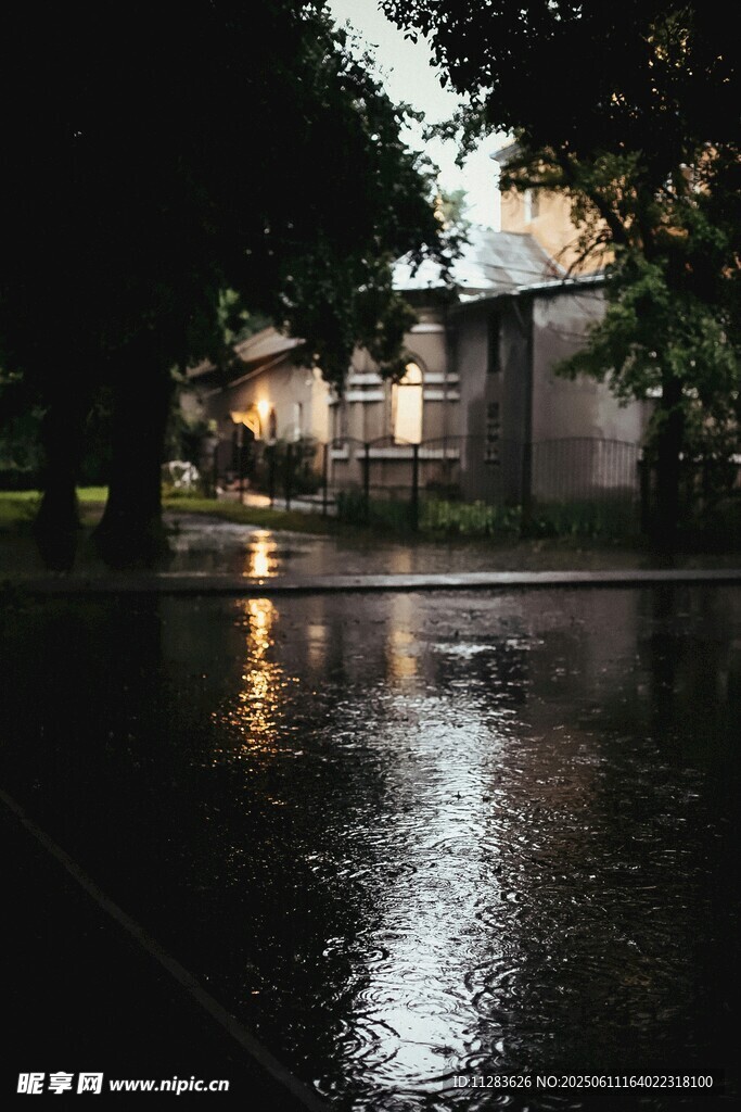 雨后街道的靜謐倒影