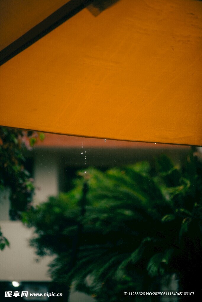 雨天黃傘