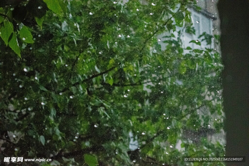 雨景
