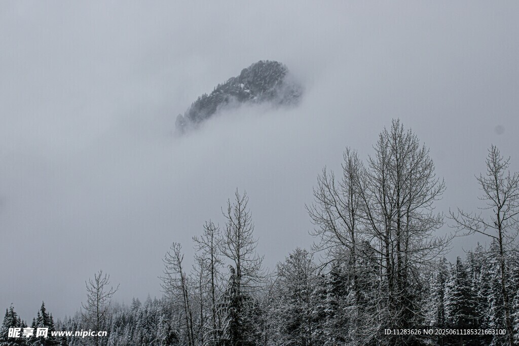 云霧繚繞中的山林雪景