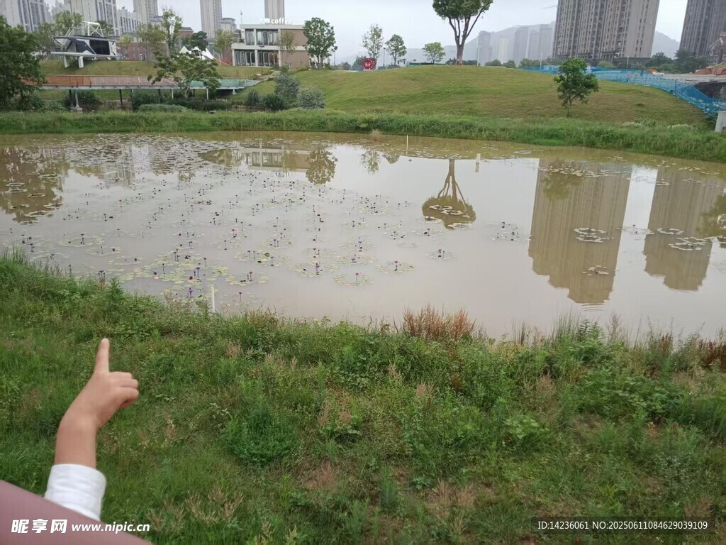 城市園林