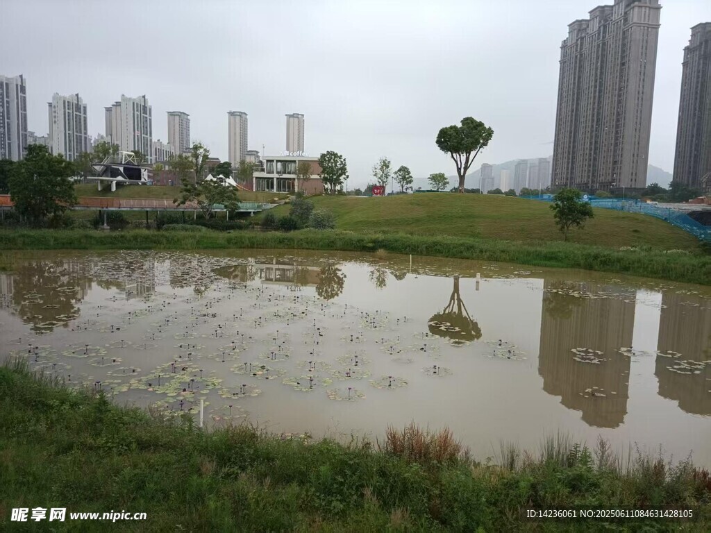 城市園林
