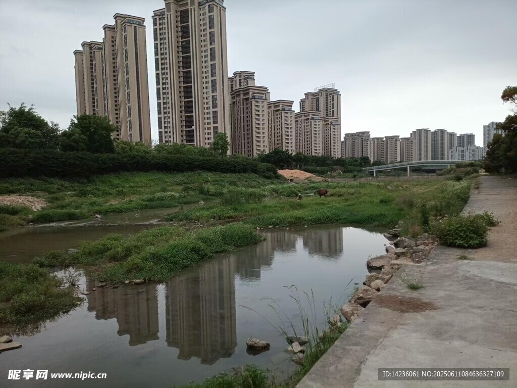 城市園林