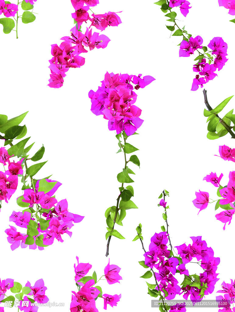 數碼印花