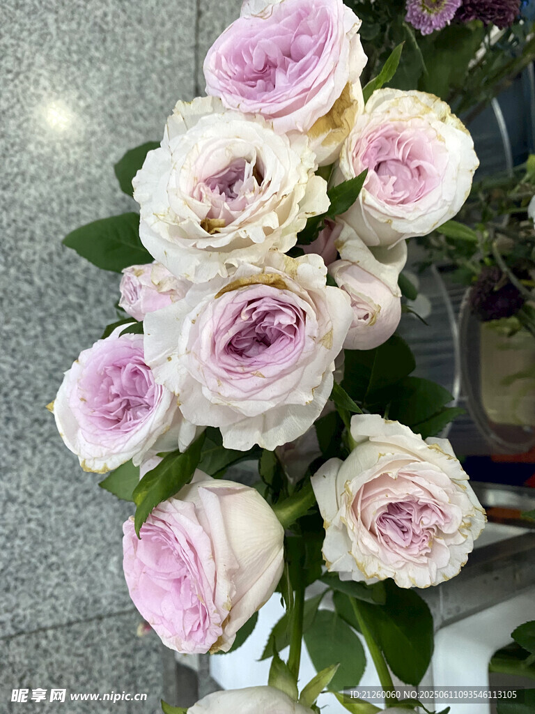 玫瑰花束