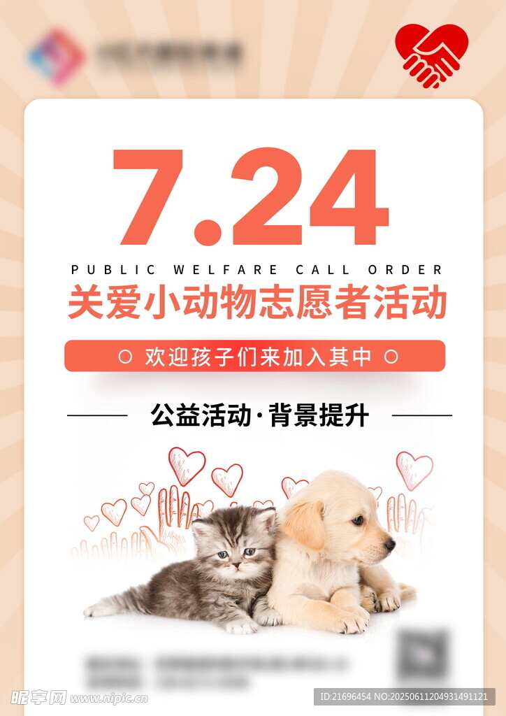 關(guān)愛小動物志愿活動