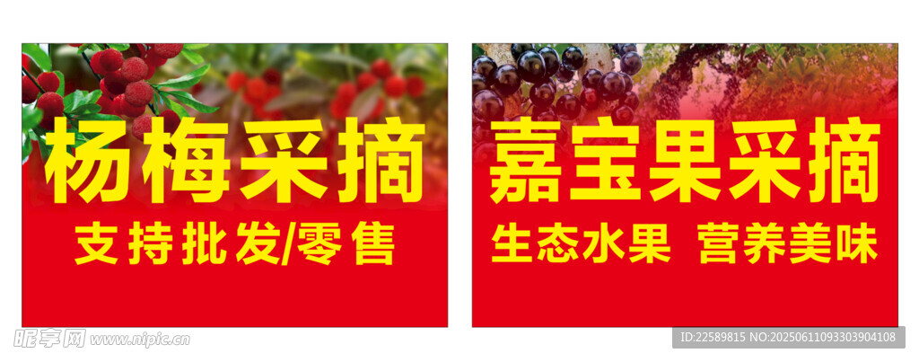 楊梅 嘉寶果