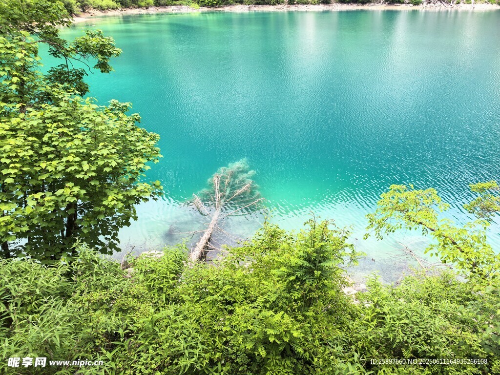 翠綠環繞的澄澈湖水
