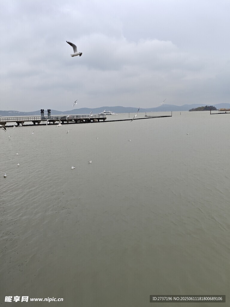 黿頭渚山水