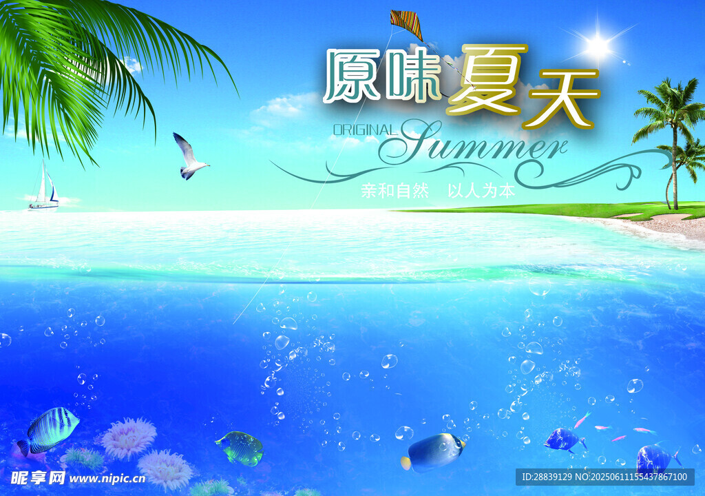 邂逅夏日海濱美景