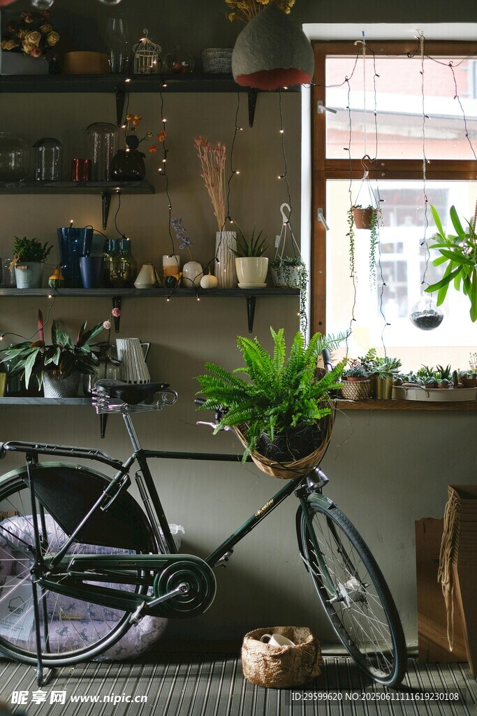 室內(nèi)復古自行車與綠植裝點