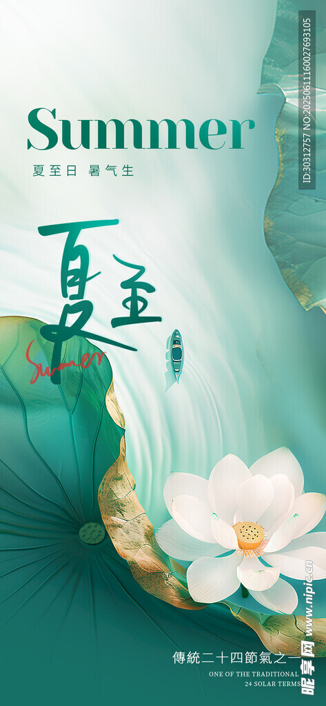 夏日玉蘭花綻放美景