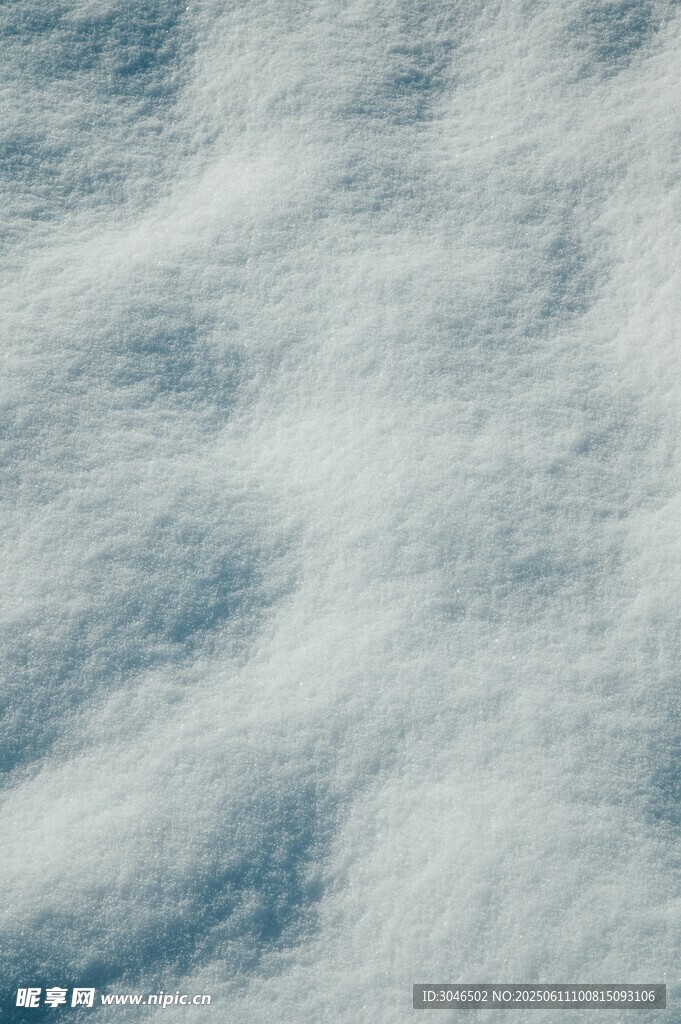 松軟的雪地