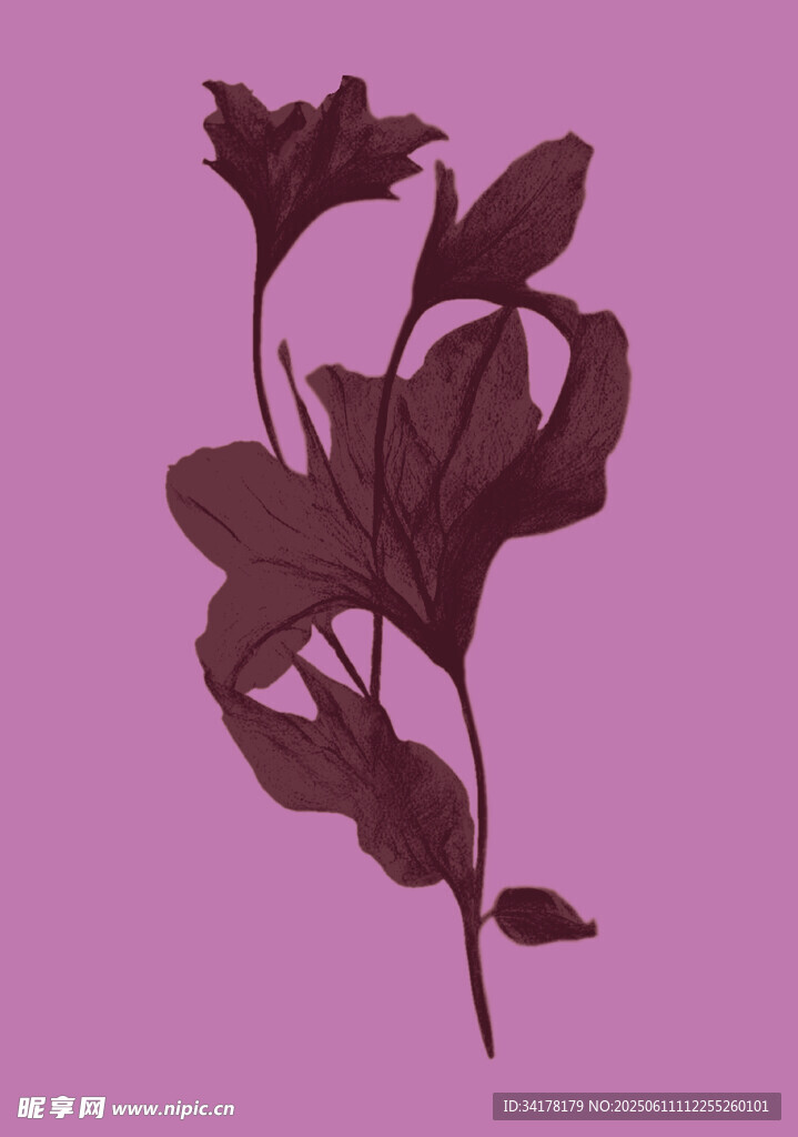 漸變花