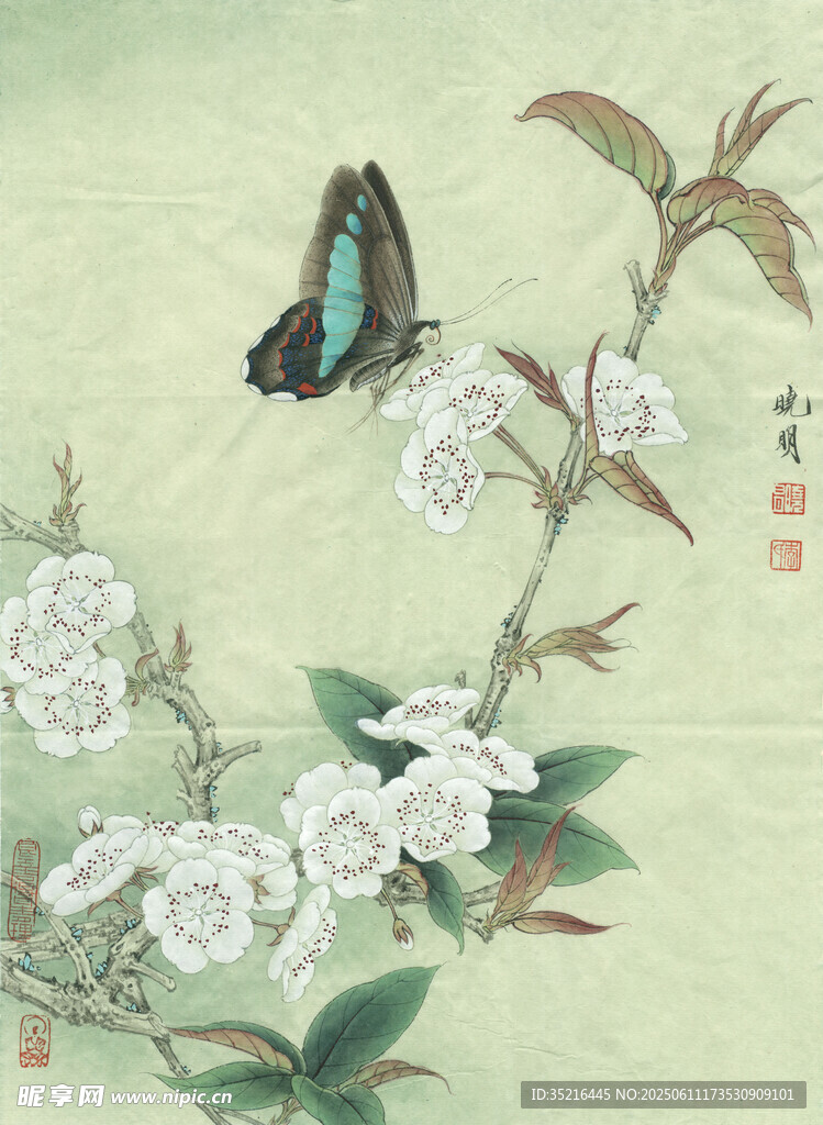蝶棲繁花圖