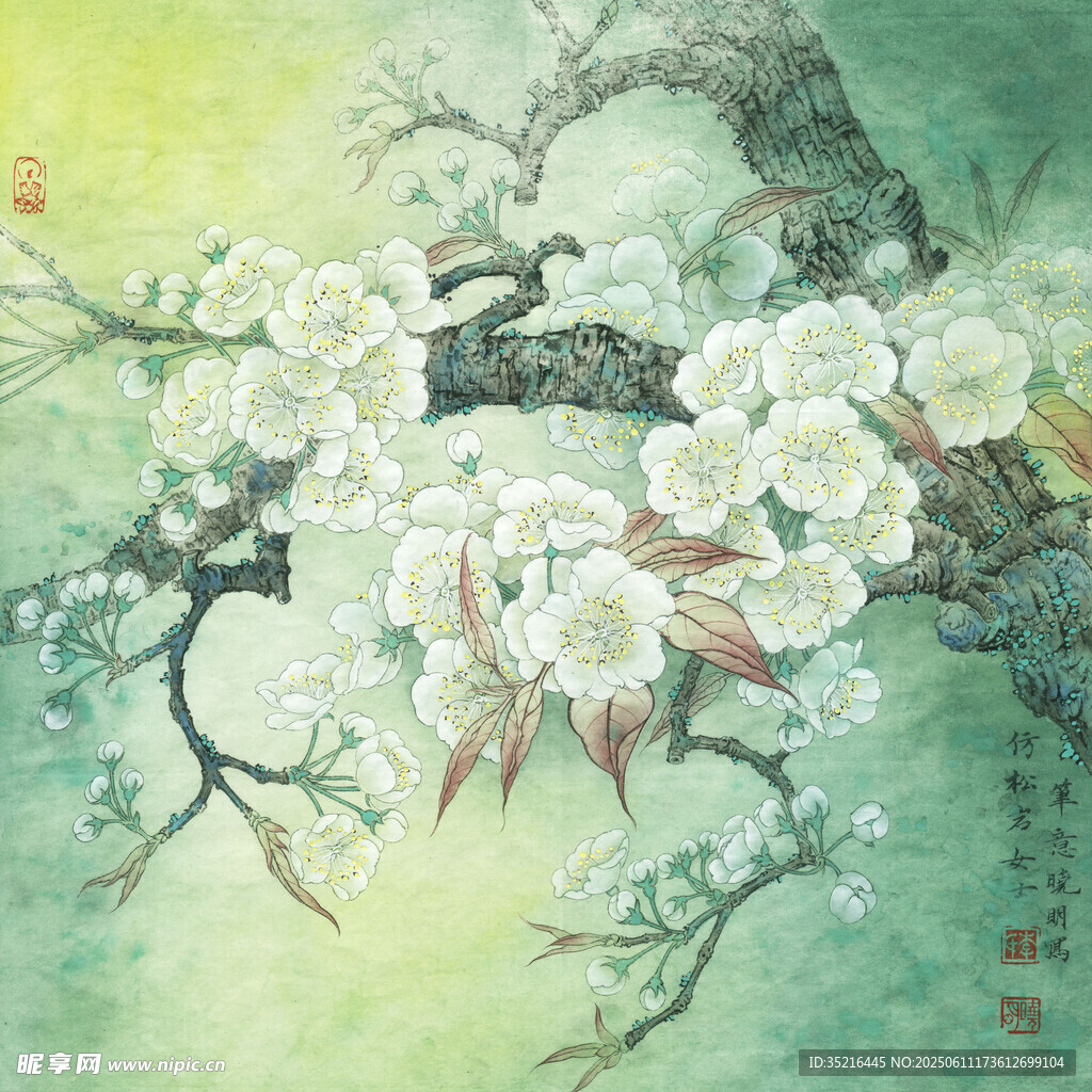 水墨白梅圖