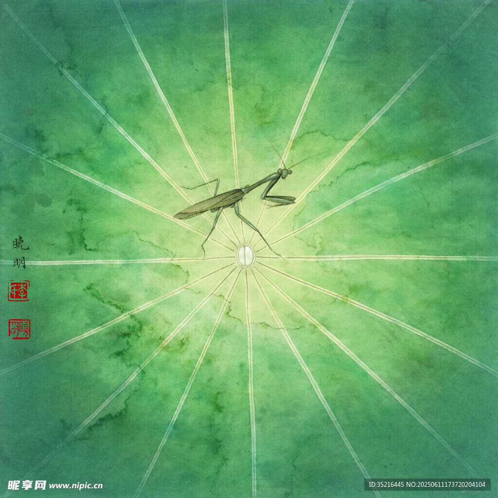 中式光芒中飛翔的神秘飛鳥(niǎo)