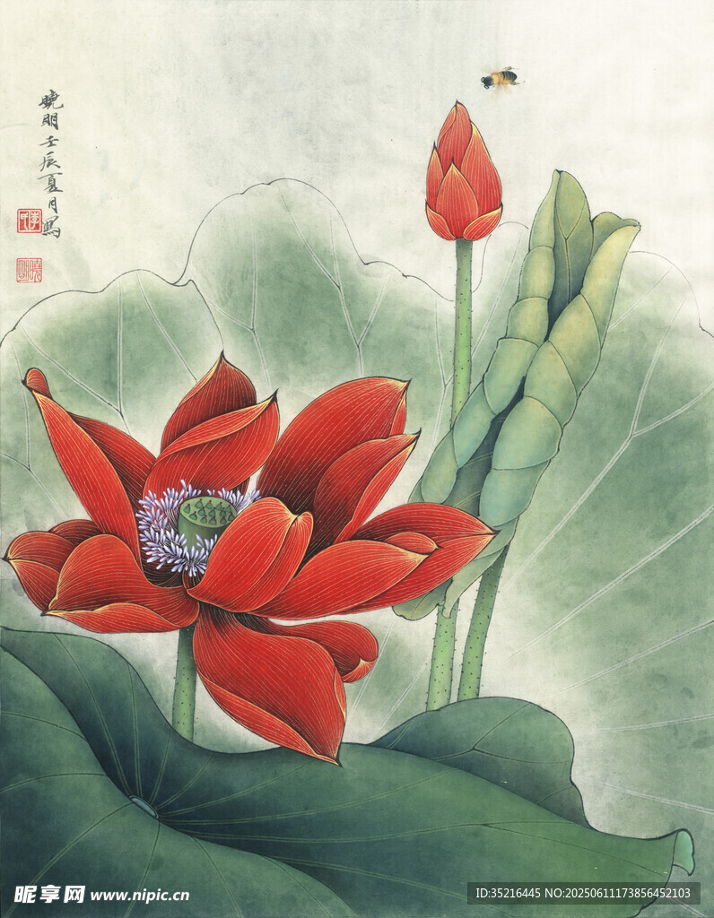 水墨荷花圖