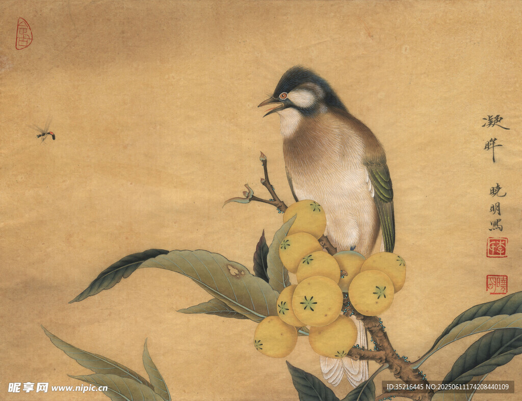 枝頭棲鳥賞黃果