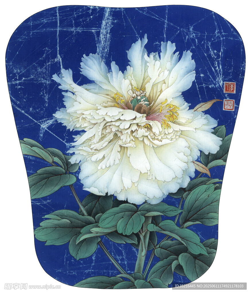 藍底白牡丹精美圖案