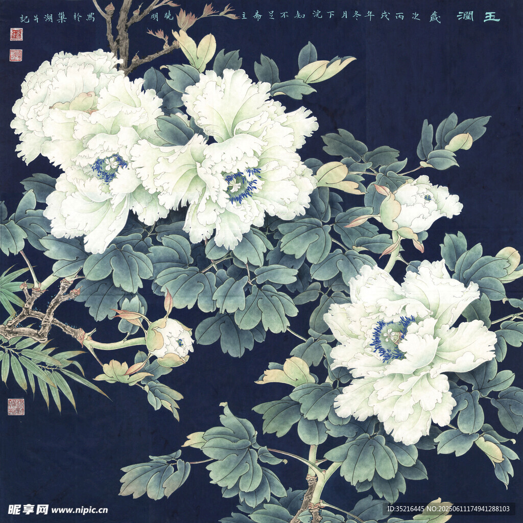 墨韻白牡丹圖