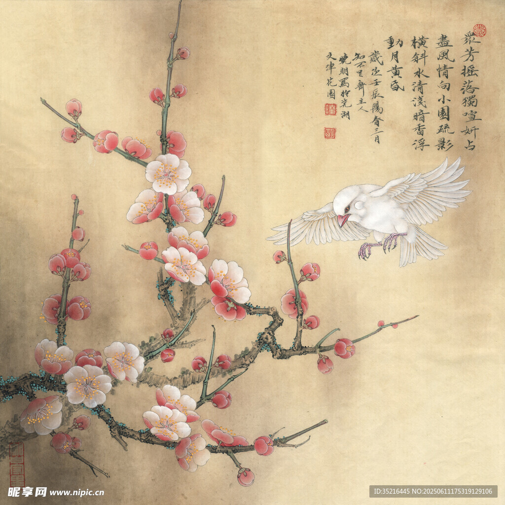 國畫梅花飛鳥圖