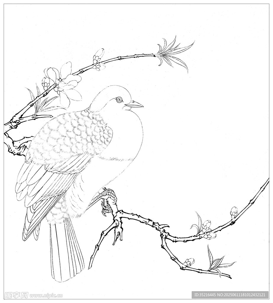 枝頭鳥素描圖